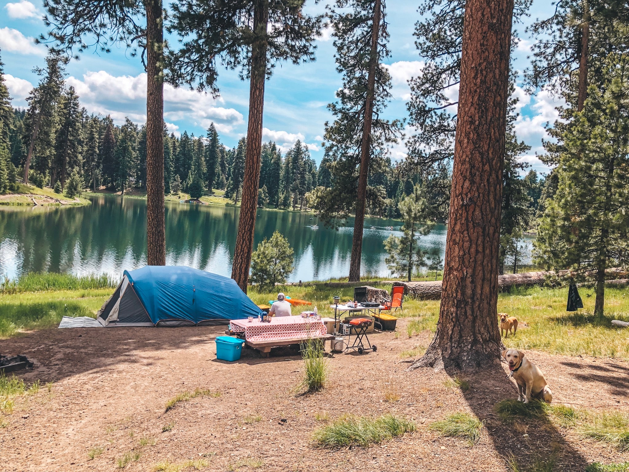 12 Great Camping Tips for Your Summer